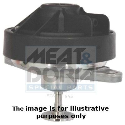 EGR Valve